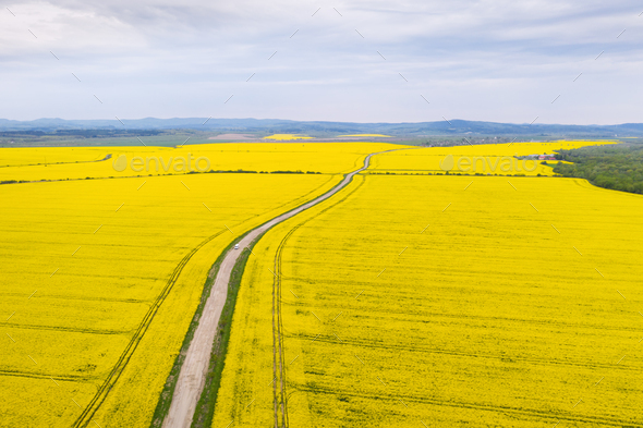 Aerial drone view of ground road in yellow fields - Stock Photo - Images