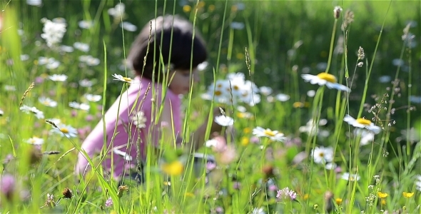 Kids In Beautifull Flower Field - A