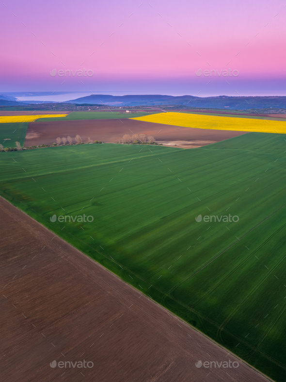 Countryside with green and yellow fields - Stock Photo - Images
