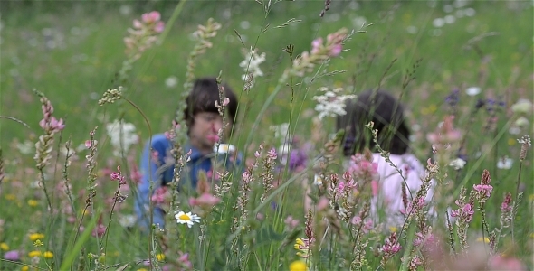 Happy Kids In Flower Field