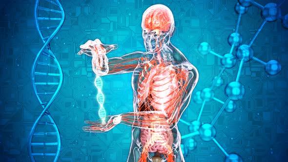 Abstract medical anatomy of a man and his DNA alt