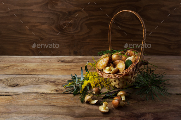 Wicker basket with forest mushrooms on the rustic background. - Stock Photo - Images
