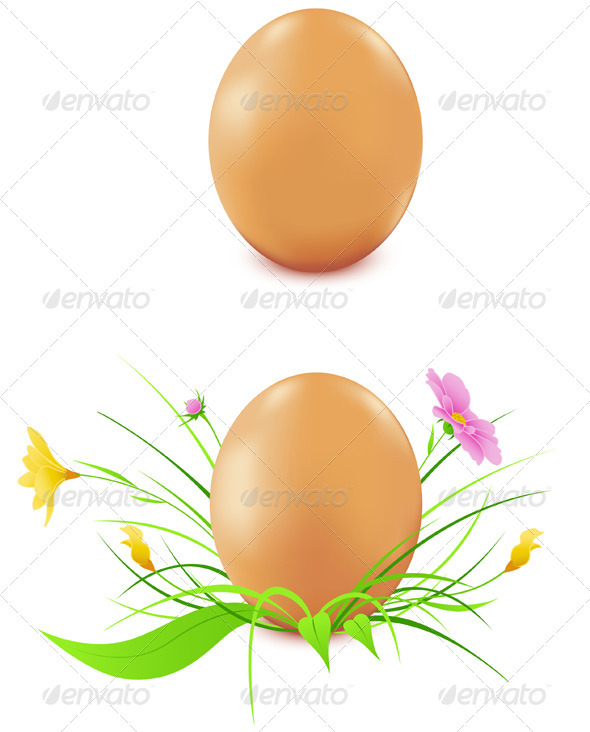 Hen's Eggs with Flowers - Flowers & Plants Nature