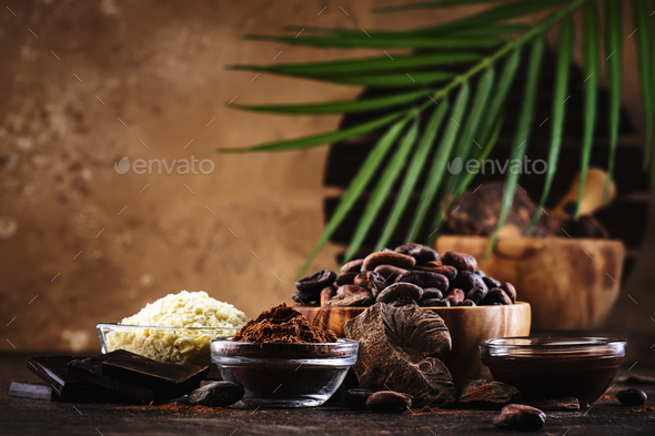 Various organic cocoa products - Stock Photo - Images