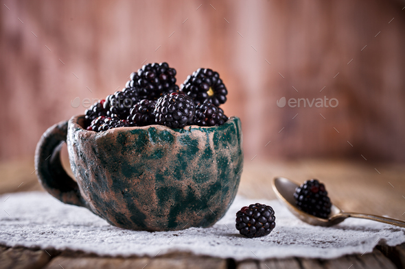 Blackberry Fresh - Stock Photo - Images