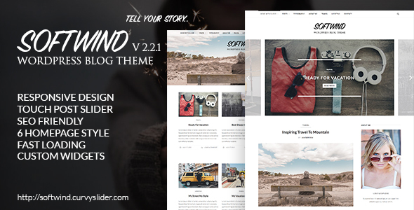 SoftWind - SEO - ThemeForest 12492264