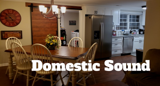Domestic Sound FX