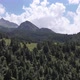 Kyrgyzstan Forest - VideoHive Item for Sale