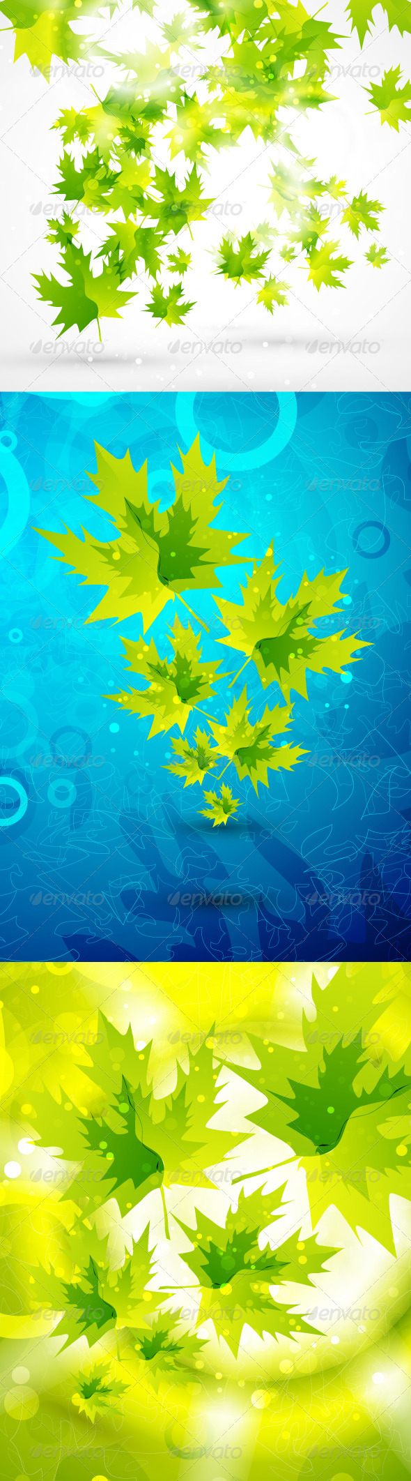 Maple Leaves Shiny Backgrounds - Flowers & Plants Nature