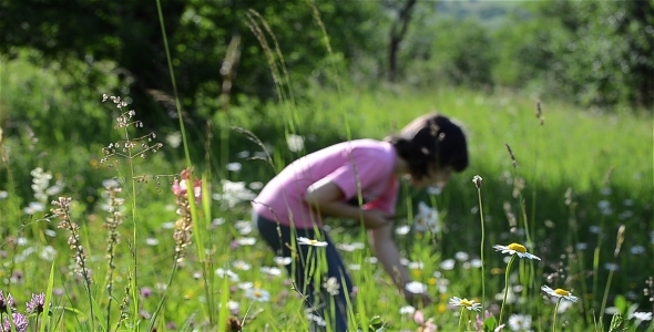 Happy Girl In Flower Field