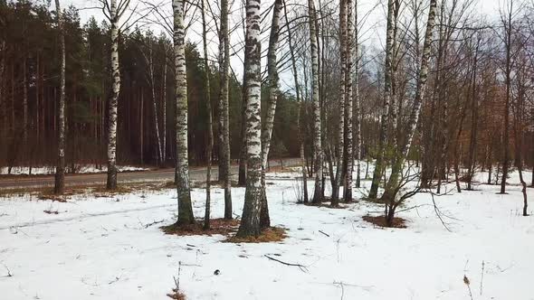 Spring Walk In The Park  alt