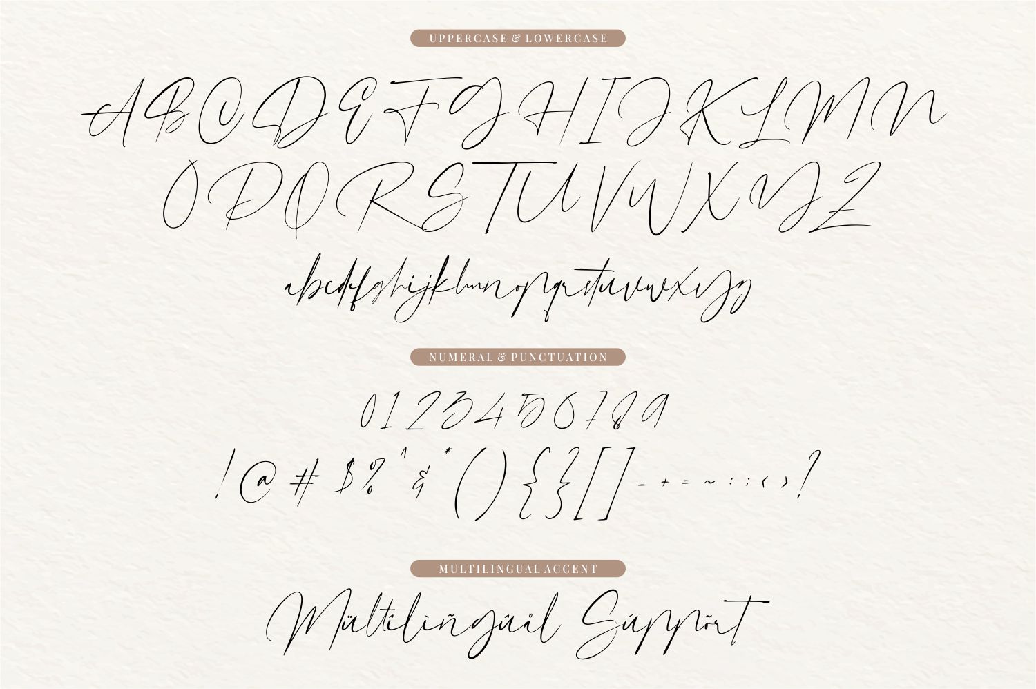 Dutchly - Modern Handwritten, Fonts | GraphicRiver