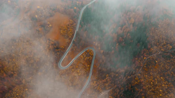 Aerial View Video Top View of Colorful Trees of Late Autumn Forest with Winding Country Road alt
