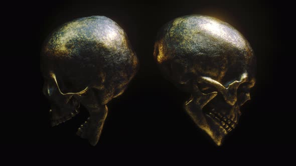 Golden Skulls 4K alt