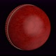 Cricket Ball Loop - VideoHive Item for Sale