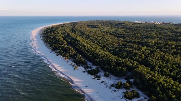 Drone View of Island with Forest in Ocean