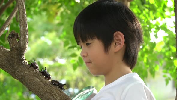 Cute Asian Child Looking Through A Magnifying Glass At A Rhinoceros Beetle In The Forest 7 alt