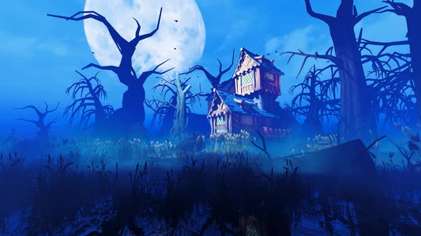 House In The Old Forest, Motion Graphics | VideoHive