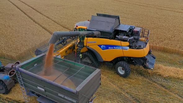 Combine unloading wheat into grain truck. Harvester machine harvesting wheat crop in countryside fie alt