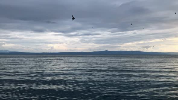Seagulls Flying Above Blue Sea On Cloudy Winter Day