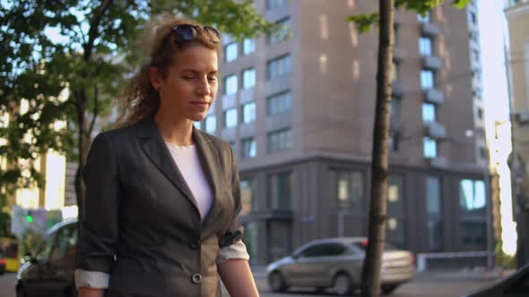 Floral Pattern Against Morning Sunlit alt