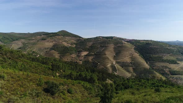 Douro River with Green Hills Covered Vineyards of Peso Da Regua Vila Real alt