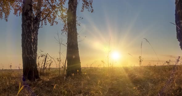 Meadow Timelapse at the Summer or Autumn Time alt