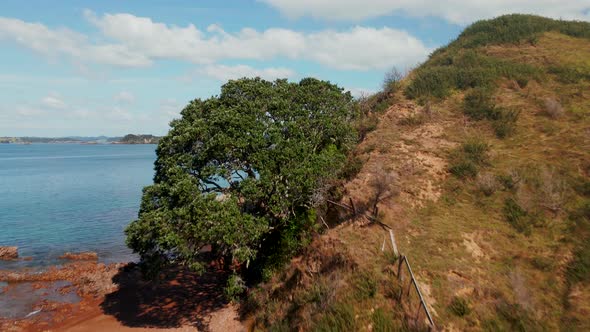 Trees Growing On Mountain Cliff At Rangihoua Bay In Purerua Peninsula, Northland, New Zealand. - aer alt