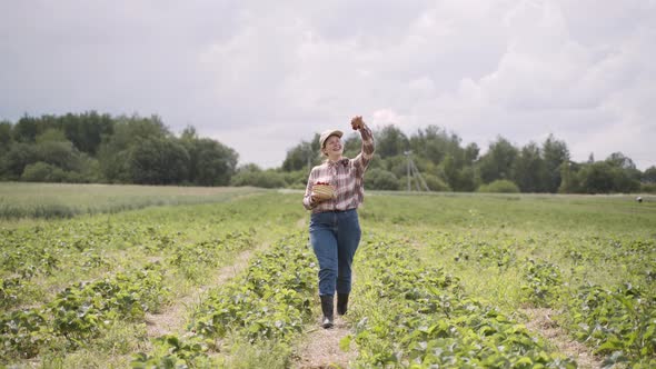 Happy Woman in Plaid Shirt Walks Through Green Sunny Strawberry Field alt