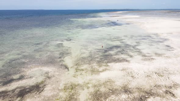 Ocean at Low Tide Near the Coast of Zanzibar Island Tanzania Slow Motion alt
