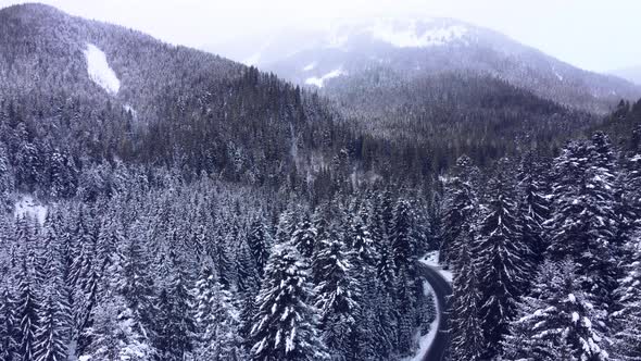 Aerial top view snowy forest mountains with cars driving winter road.