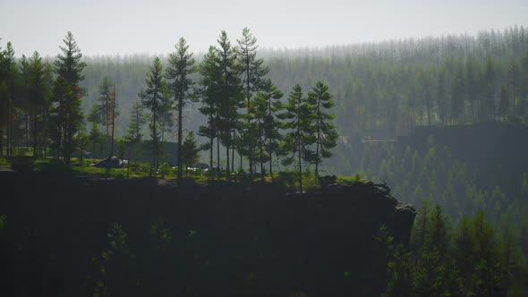 Evergreen Fir Tree and Mountains on a Background on a Sunset After the Rain alt