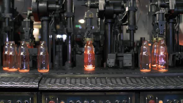 Movement of Finished Products Right From the Furnace Glass Bottles on the Conveyor Belt at the Glass alt