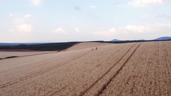 Aerial view of two friends enjoying nature while they walk through a wheat field together. alt