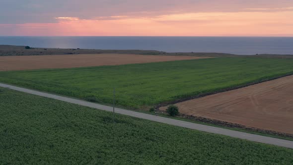 Lonely runner during morning workout outdoors