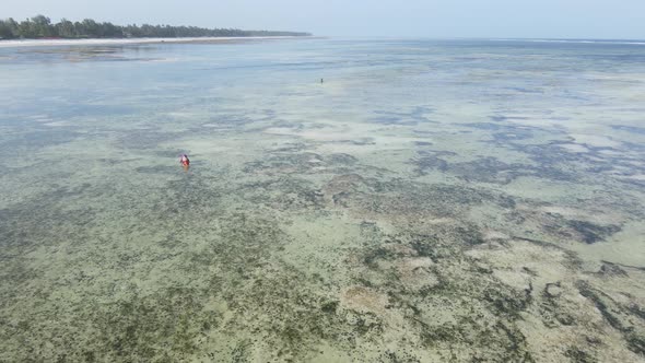 Ocean Low Tide Near the Coast of Zanzibar Island Tanzania alt