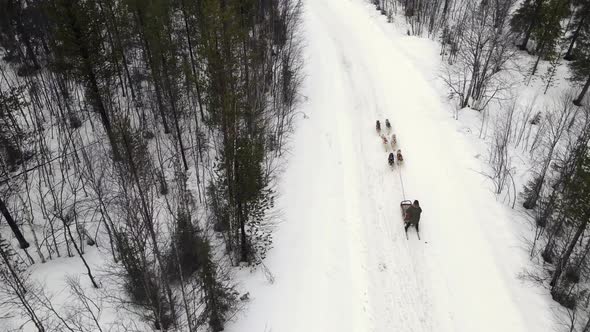 Drone Aerial View of Dogsledding Handler with Team of Trained Husky Dogs Mountain Pass Husky Dog alt