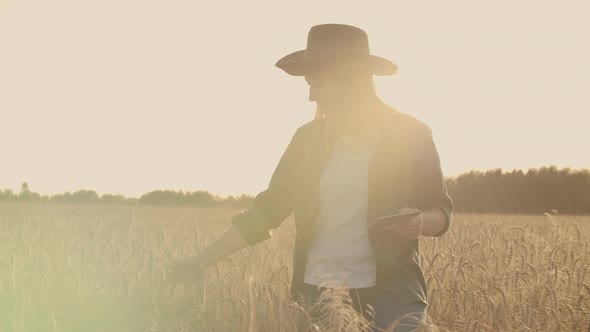 A Farmer Girl with a Tablet Computer in Her Hands Examines the Ears of Rye and Enters Data Into the alt