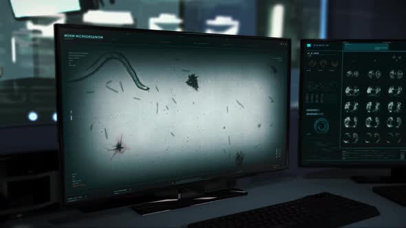 Microbiology study is examining the worm cells using the medical software alt