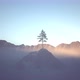 Pine Tree On The Hill 4k - VideoHive Item for Sale
