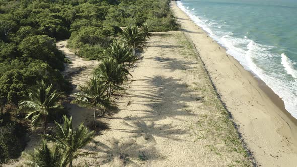 7086 Aerial, Palms On Wangetti Sand Beach In Cairns In Queensland, Australia 