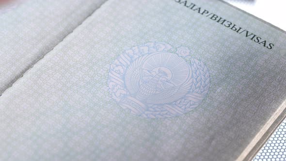 Put a Stamp in the Passport: USA Visa, Approved alt