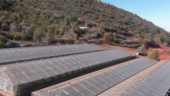 Greenhouse building. Growing fresh vegetables and fruits in big greenhouses. alt