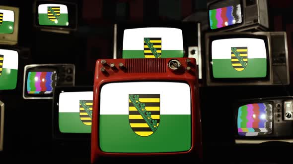 Flag of the Free State of Saxony, Germany, on Retro TVs.