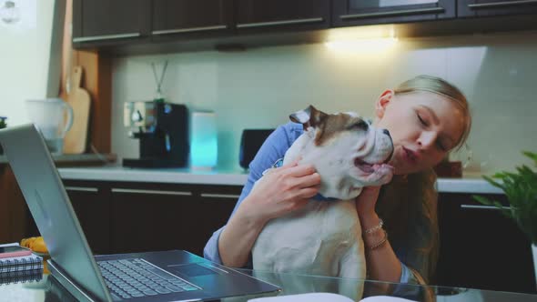 Happy Blonde Woman Scratching the Neck of Bulldog Puppy Sitting in Front of Laptop in the Kitchen alt