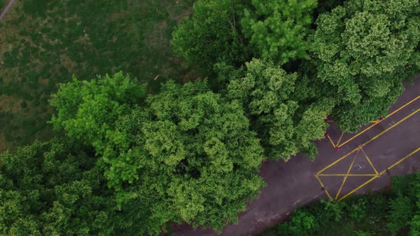 Top Down Aerial of the Trees in Park