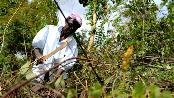 African Woman Working alt