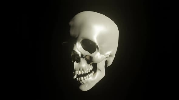 Skull Darkness 01 Hd