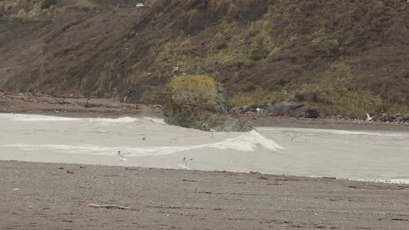 Slow motion wide shot of a wave crashing into a rock as seagulls fly by in the foreground. alt