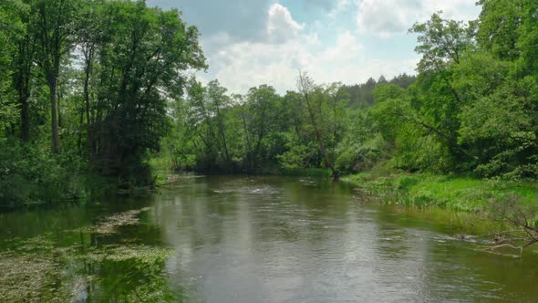 Beautiful river and green forest in summer Poland, aerial view, Tuchola national park alt